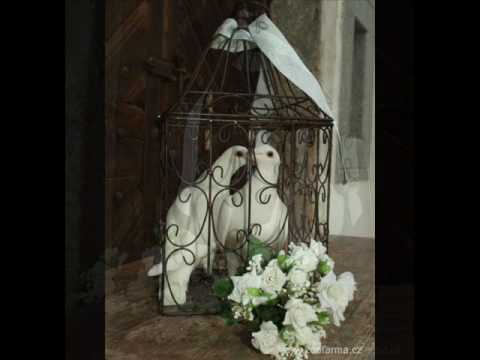 Měla jsem holoubka....♥♥♥(Kety)♥♥♥