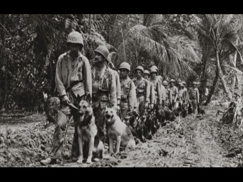 The Pacific Best Documentary 2016