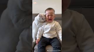 Le chat aide son maître à faire beaucoup de choses