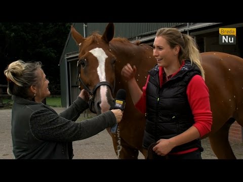 Vacht & Veren - Afleverig  24: De paardendierenarts