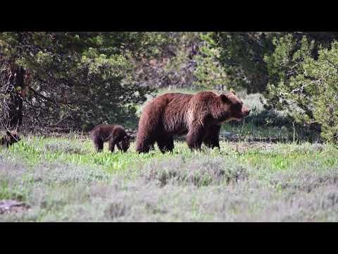 My photography trip to Wyoming - late May to early June 2020