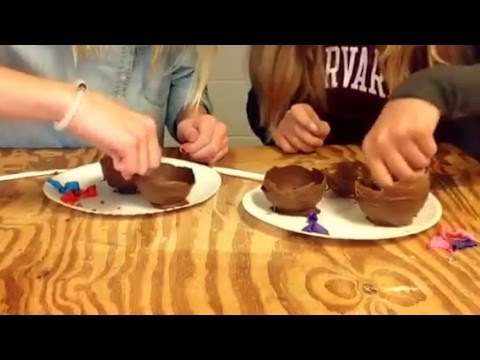 Pinterest Fail it or Nail it: Chocolate Bowls