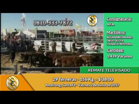 02-06-17 - Remate Televisado de AFA - Amstrong, Santa Fe