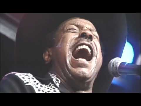 Lonnie  Brooks - In The Dark (1997)