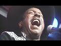 Lonnie  Brooks - In The Dark (1997)