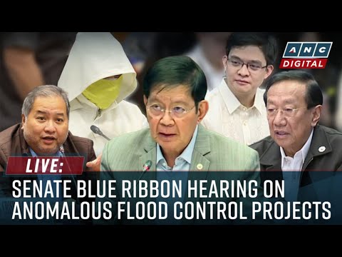 Live: Senate Blue Ribbon Committee hearing on flood control anomalies | January 19