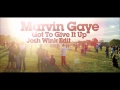 Marvin Gaye - Got To Give It Up (Josh Wink Edit) Marvin Gaye - Got To Give It Up (Josh Wink Edit)