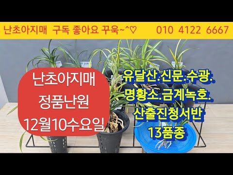 유튜브 썸네일