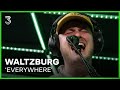 Waltzburg covert 'Everywhere' van Fleetwood Mac | 3FM Live Box | NPO 3FM