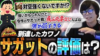 サガットが５強には入らないという理由を弱点と共に解説するカワノ【スト6】