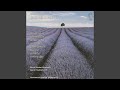 Ballet Suite: Finale
