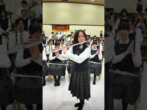Egyptian Meme | Flute Feature 🎶 #Shorts