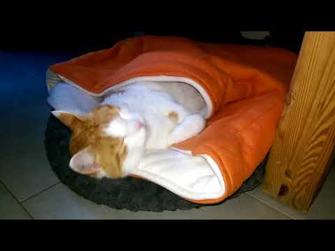 Kuschelsack, Bodibag, Schlafsack für den Hund