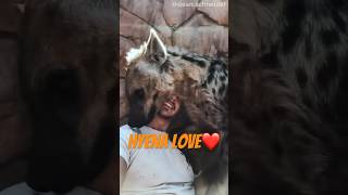 Do you Like Hyenas and why?