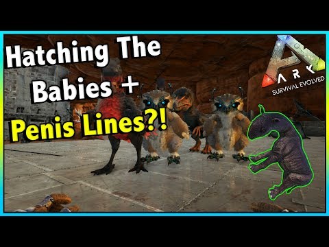 STARTING THE PENIS GIRAFFE LINES AND HATCHING BABIES!! || ARK SOLO PVP EP 12