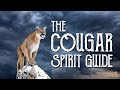 Cougar Spirit Guide Ask The Spirit Guides Oracle Totem Animal Power Animal Magical Crafting