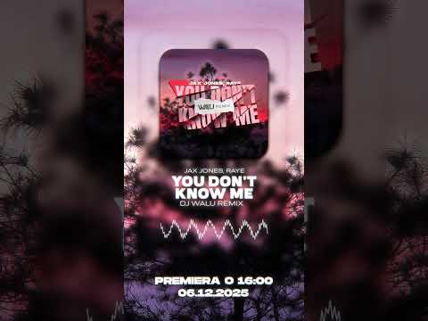 JAX JONES, RAYE - YOU DON'T KNOW ME (DJ WALU 2025 REMIX) #VIXA
