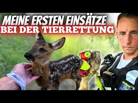 Plötzlich Tierrettung – Von Aquaristik zu echten Einsätzen hautnah | Sascha Hoyer