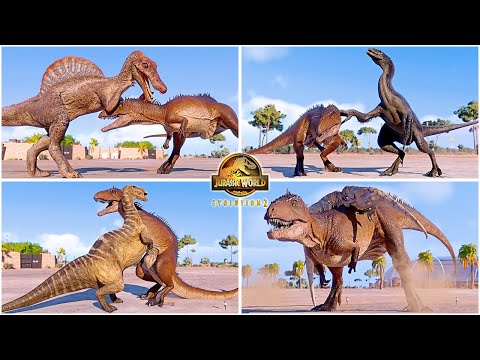 Carcharodontosaurus Death Animations by All Dinosaurs in Desert 🦖 Jurassic World Evolution 2 - JWE