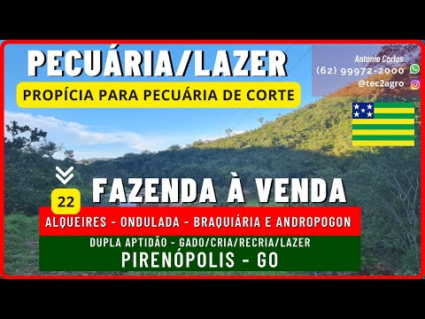 🍀 PIRENÓPOLIS - Fazenda a Venda em Goias 22 Alq [🌱GADO CRIA RECRIA E LAZER 🐄] #tec2agro