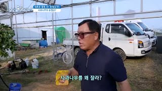 [대추로 뭉친 오! 부자(父子)] 사과나무의 운명은??