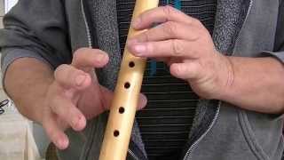 A Horse With No Name,  How to Play on the Native American Flute