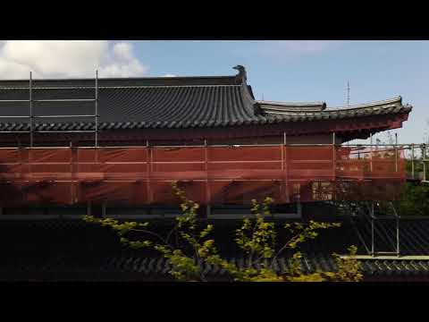 Auckland Buddhist Temple Scaffold - Senior Scaffold