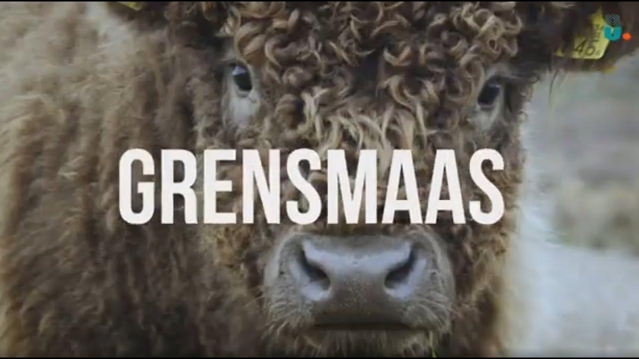 Documentaire Grensmaas