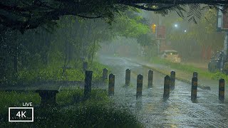 Heavy Rain and Thunder Sounds:  ASMR Rain Sounds for Sleep and Relaxation