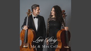 Theme from 'Love Story' song artwork