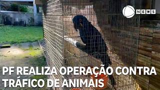 Miniatura do vídeo