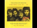 Rubinoos - Hit The Nerve