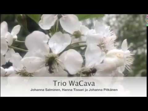 Trio WaCava: Valse Lente (Oskar Merikanto)
