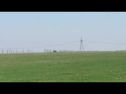 Concurs de cai Dobrotesti!