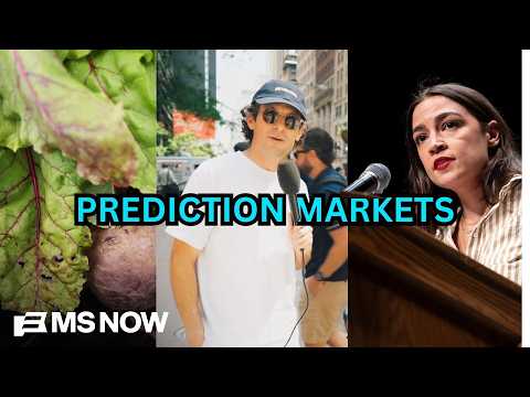 ‘America is NOT ready’: New Yorkers on AOC’s potential White House run