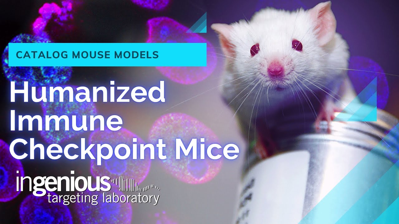 Introduction to Humanized Mice