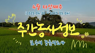 ✨[ 주간농사정보 ] 4월 5째주 (2025. 04. 28. ~ 05. 04.)
