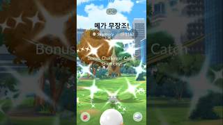 메가 무장조 슈퍼 메가 레이드데이! Mega Skarmory! #shorts #pokemon #shiny #쇼츠 #포켓몬 #이로치