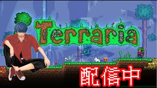 二次元版マインクラフトplay【テラリア】配信中