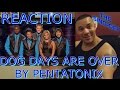 Pentatonix Dog Days Are Over Reaction (The Sing ...