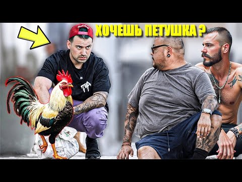 WILL YOU PLAY WITH MY COCKEREL? (GHETTO PRANK)