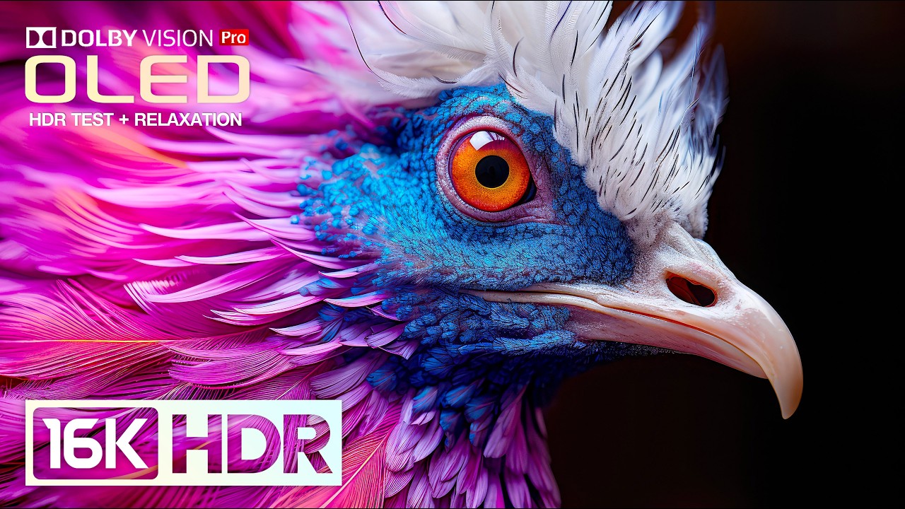 Masterpiece OLED HDR TEST | 16K HDR Dolby Vision 120fps Nature (8K/4K Video TV)