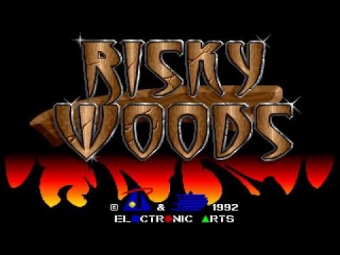 Risky Woods PC
