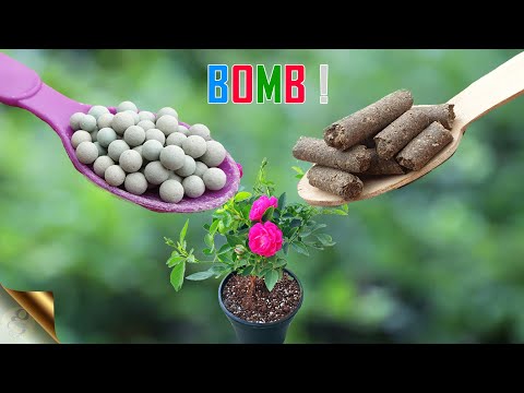 15 BEST NATURAL FERTILIZERS | CHOOSING ORGANIC FERTILIZER IN GARDENING