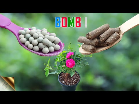 , title : '15 BEST NATURAL FERTILIZERS | CHOOSING ORGANIC FERTILIZER IN GARDENING'