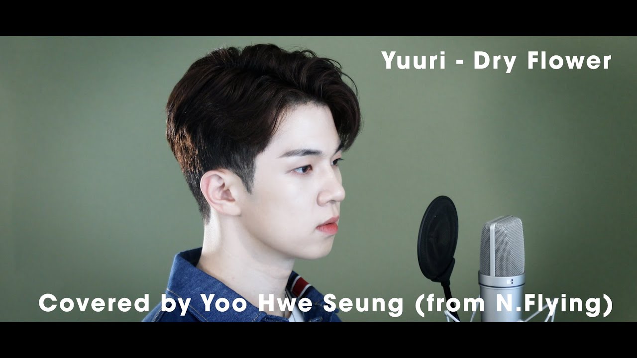 N.Flying -ドライフラワー / 優里（Covered by フェスン）【歌ってみた】