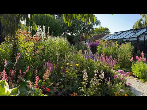 June Garden Tour I 40+ Flowers Blooming Now | Perennial Garden