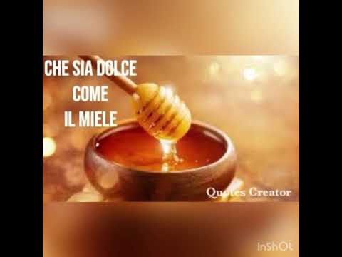 cantico devid - dammi un nuovo cuore @adi_mez_off