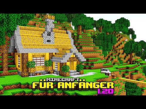 Wie baut man ein Haus in Minecraft | Minecraft für Anfänger 1.20 | LarsLP