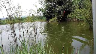 preview picture of video 'Mancing nila waduk brubus ke 2'